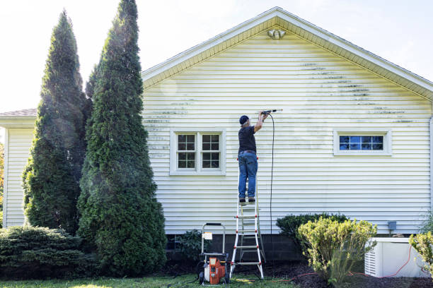 Roof Power Washing Services in Mountain View, AR